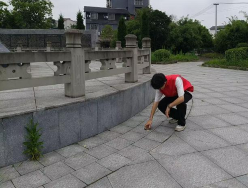 图片23.png